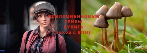 ECSTASY Медногорск