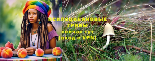 дурь Магадан
